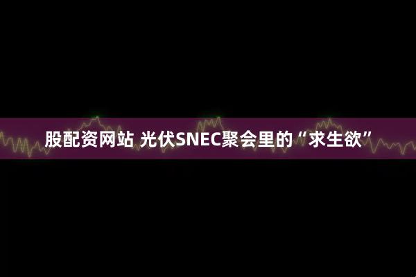 股配资网站 光伏SNEC聚会里的“求生欲”