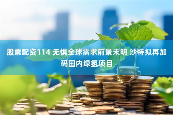 股票配资114 无惧全球需求前景未明 沙特拟再加码国内绿氢项目